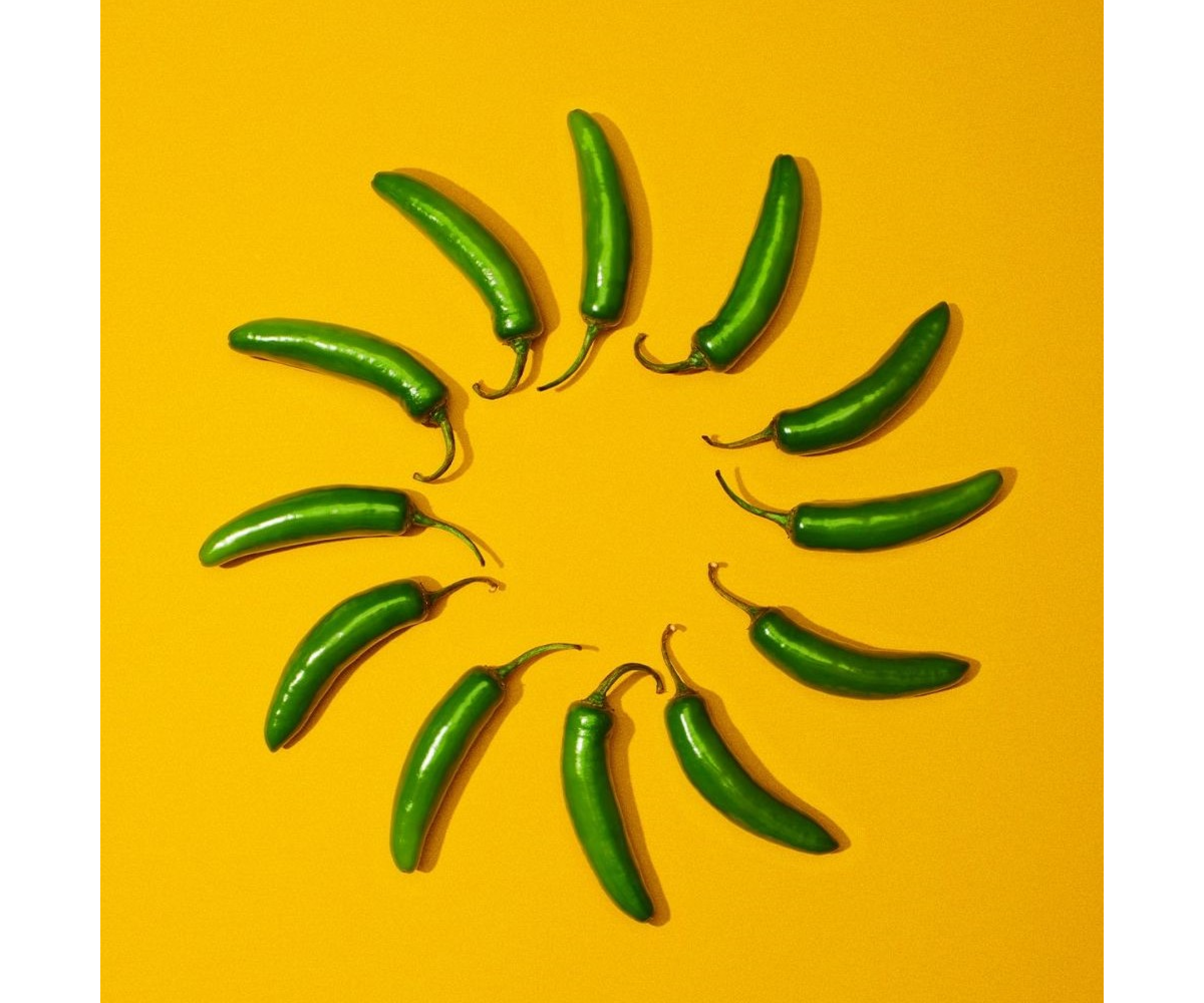 GREEN CHILLI GREEN CHILLI