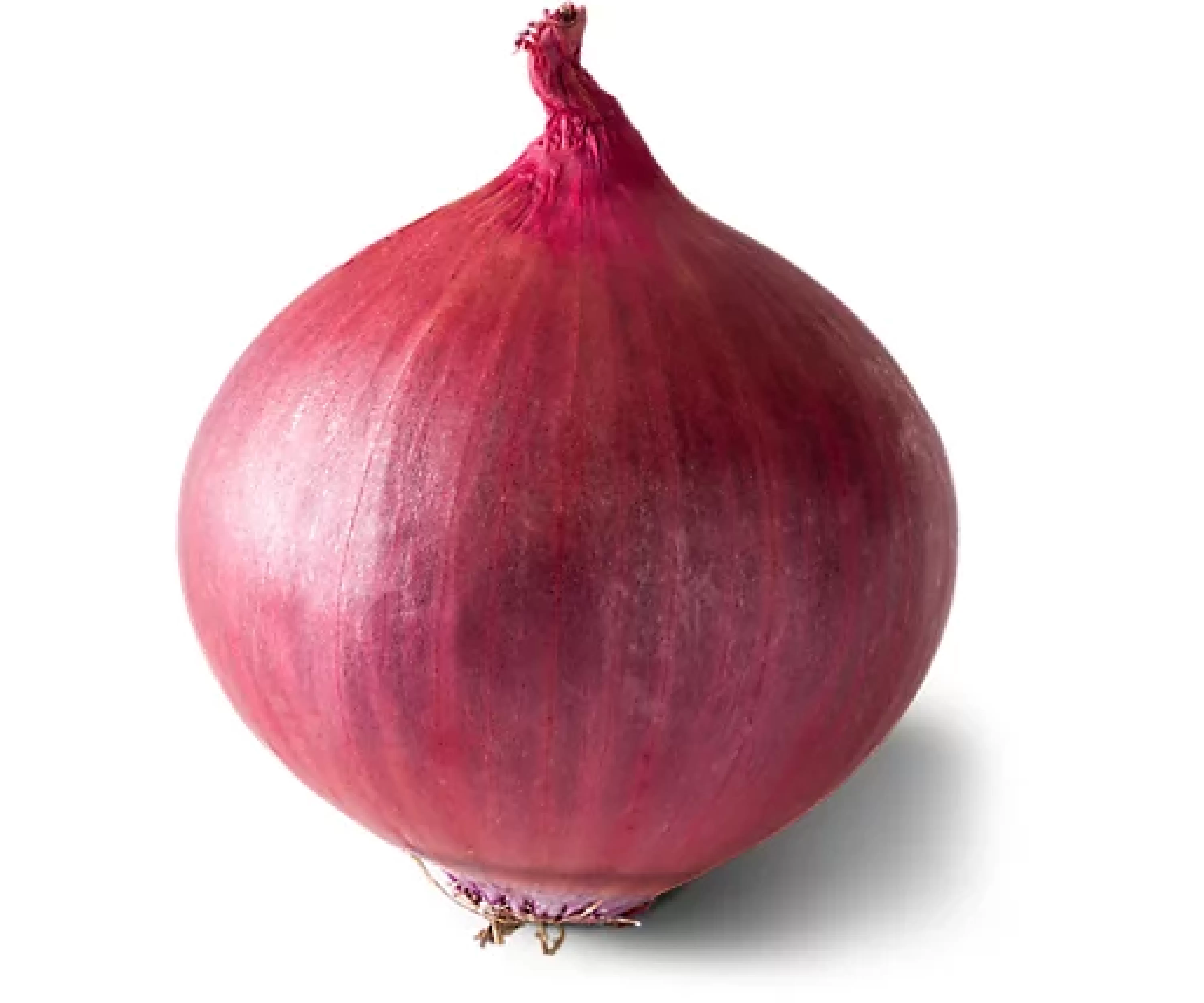 ONION ONION